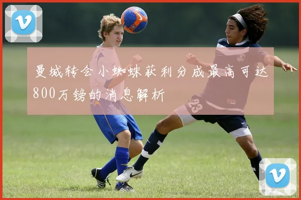 曼城转会小蜘蛛获利分成最高可达800万镑的消息解析