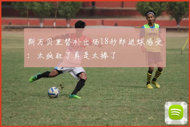 斯万贝里替补出场18秒即进球感受：太疯狂了真是太棒了